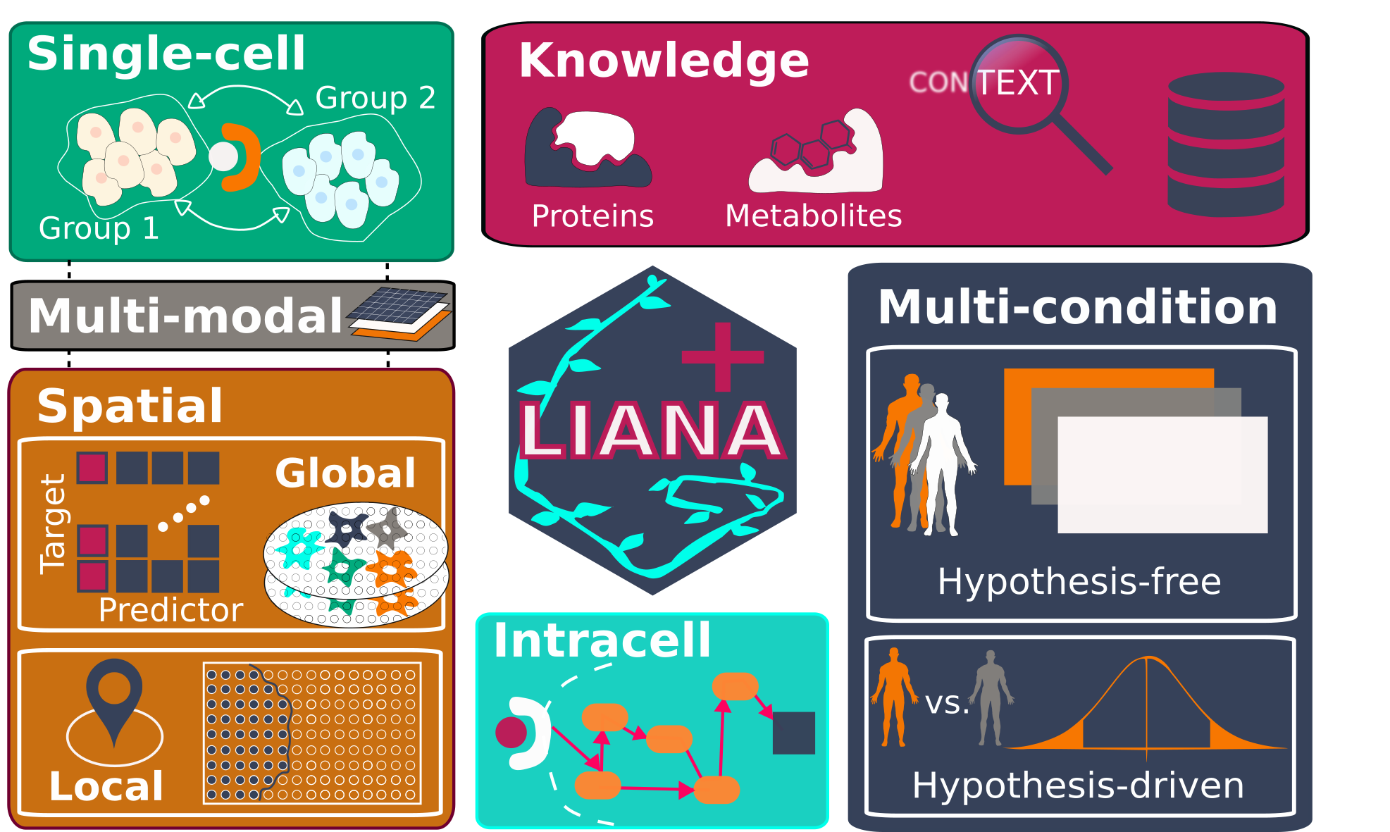Overview of the analyses that LIANA+ supports